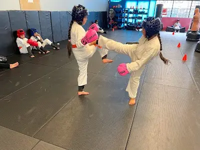 Aries Martial Arts & Kickboxing Surrey BJJ Academy - photo 3