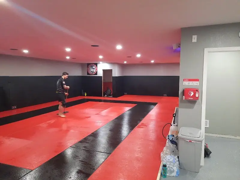 Arise Brazilian Jiu-Jitsu Academy BJJ Academy - photo 1
