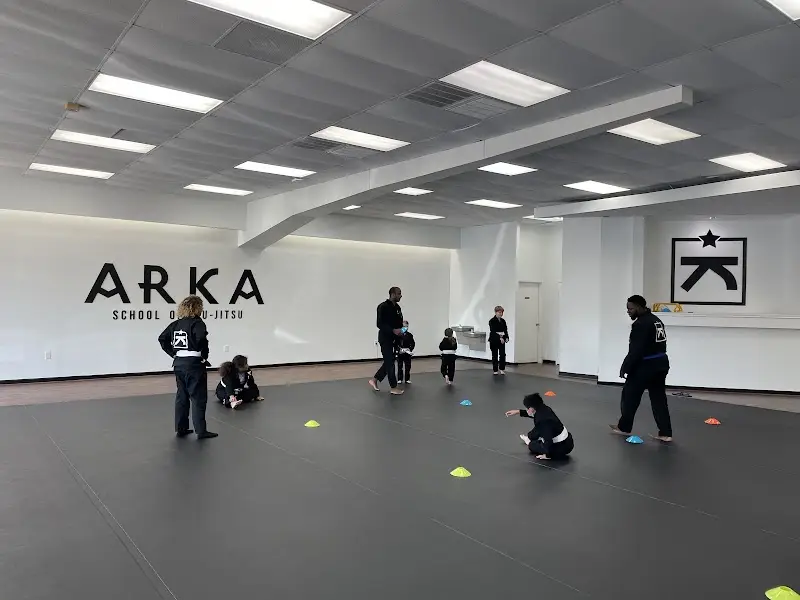 ARKA School of Jiu-Jitsu BJJ Academy - photo 2