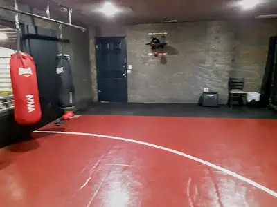 Arkansas Center for Sports Science Training. BJJ Academy - photo 2