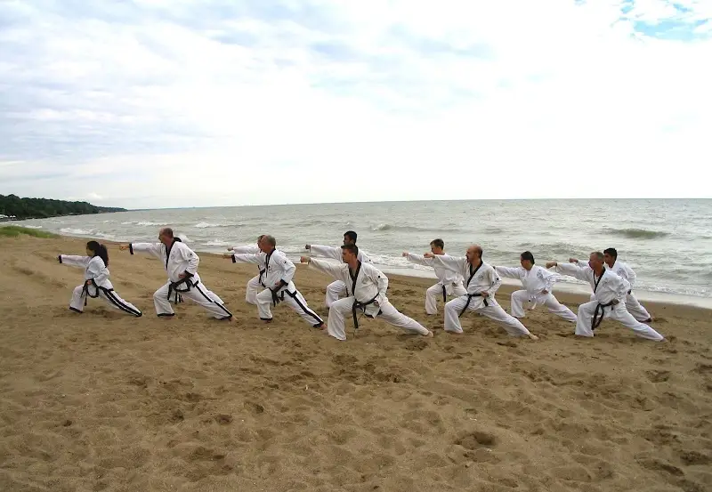 Arlington Heights School of Martial Arts BJJ Academy - photo 2