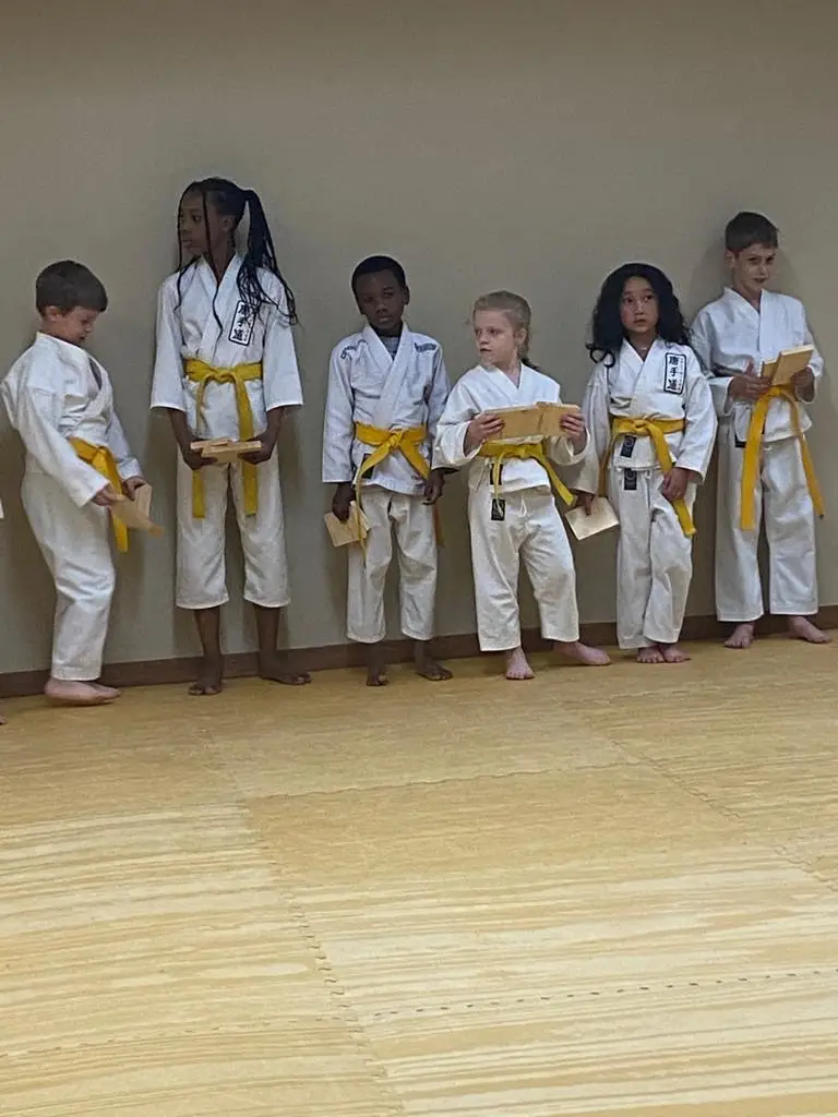 ARMANDO MARTIAL ARTS BJJ Academy - photo 1