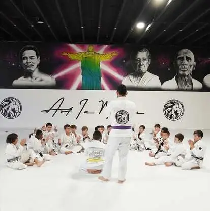 Art In Motion Jiu Jitsu Academy