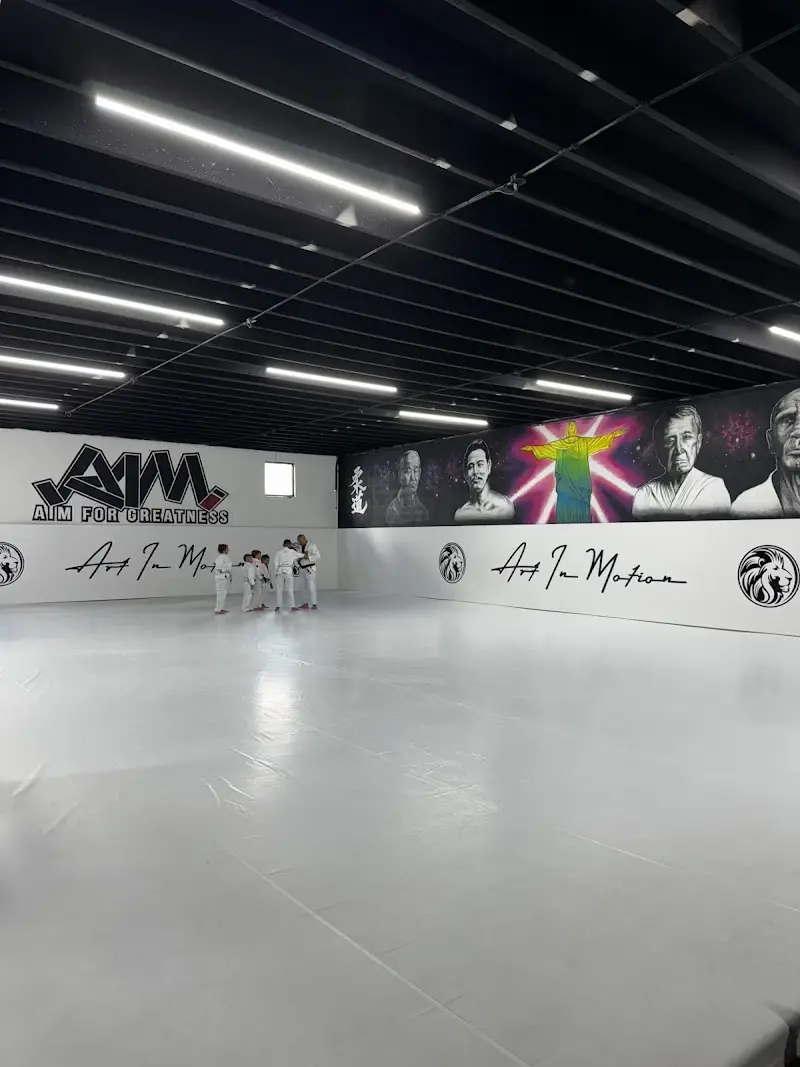 Art In Motion Jiu Jitsu Academy BJJ Academy - photo 1