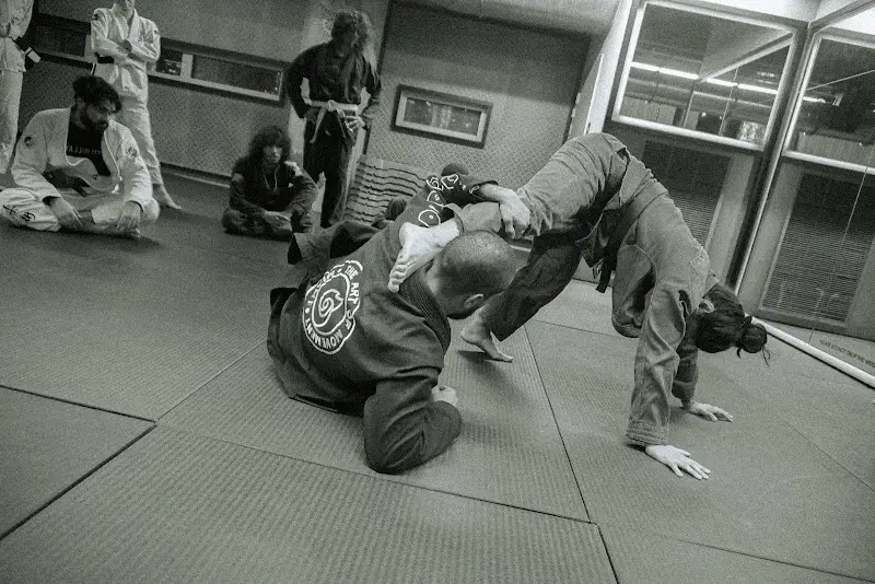 Art Movement Miami BJJ Academy - photo 1