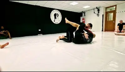 Art of Grappling Gym BJJ Academy - photo 1