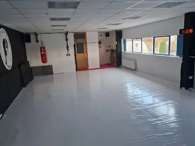 Art of Grappling Gym BJJ Academy - photo 2