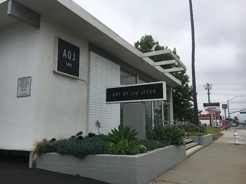 Art of Jiu Jitsu BJJ Academy - photo 1