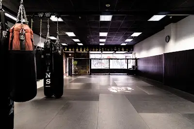 Art of War Mixed Martial Arts and Fitness BJJ Academy - photo 2
