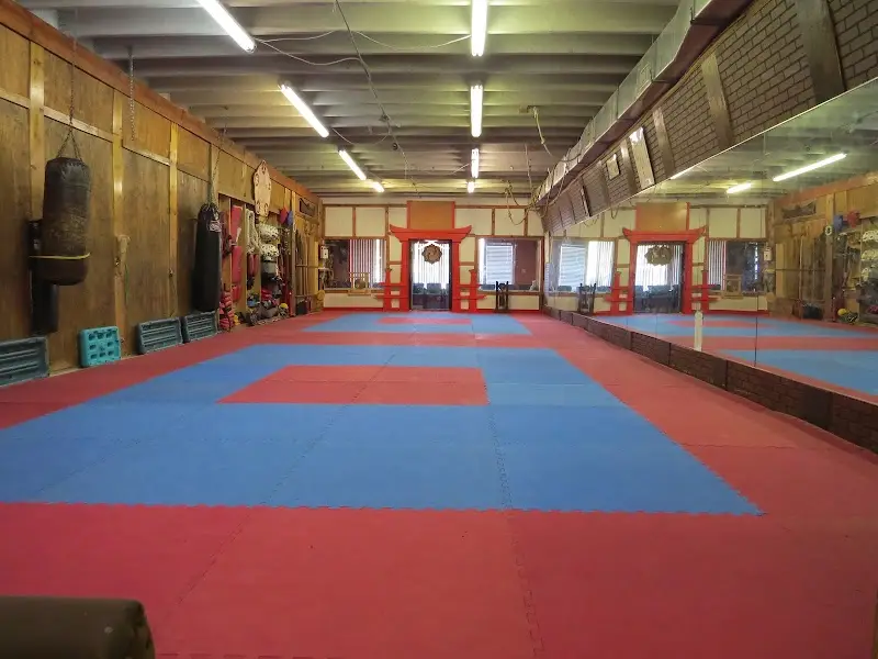 Art & Sports Center BJJ Academy - photo 1