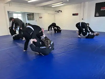 Arte Suave Jiu Jitsu BJJ Academy - photo 1