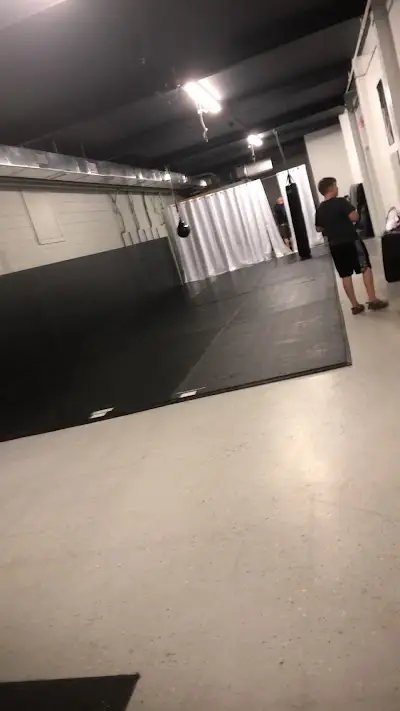 Arte Suave Jiu Jitsu Academy BJJ Academy - photo 3