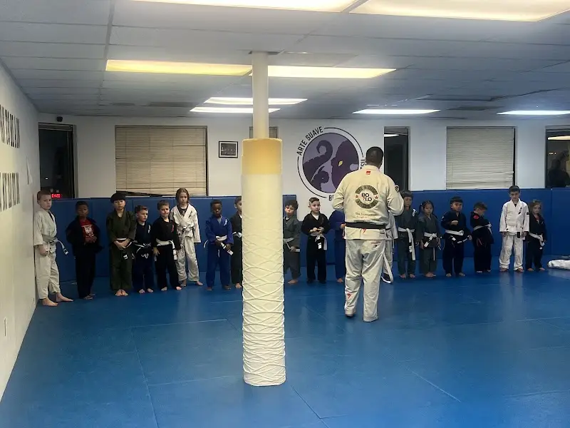 Arte Suave Jiu-Jitsu BJJ Academy - photo 1