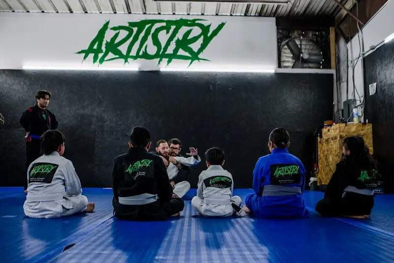 Artistry BJJ