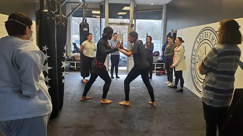 Artistry Martial Arts BJJ Academy - photo 2