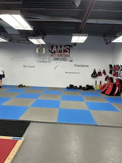 Arts Martiaux AMS JiuJitsu et Kickboxing BJJ Academy - photo 2