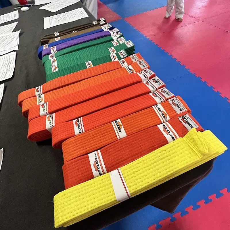 Arumaru Martial Arts Center BJJ Academy - photo 1