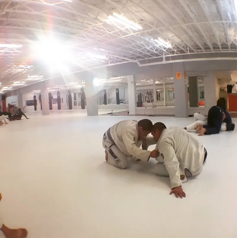 Ascend Institute of Martial Arts BJJ Academy - photo 1