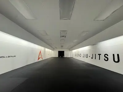 Ascend Jiu Jitsu Academy BJJ Academy - photo 4