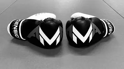 Ascension Martial Arts - AMA BJJ Academy - photo 4