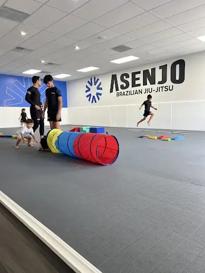 Asenjo Brazilian Jiu-Jitsu BJJ Academy - photo 1