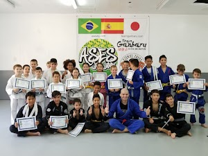 Inside Ases Jiu-Jitsu Valencia academy