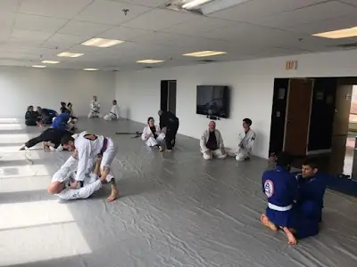 Ashburn Jiu Jitsu BJJ Academy - photo 2