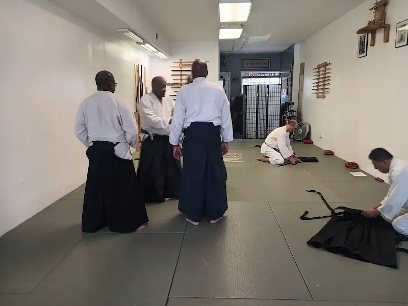 Asiatic Martial Arts BJJ Academy - photo 2
