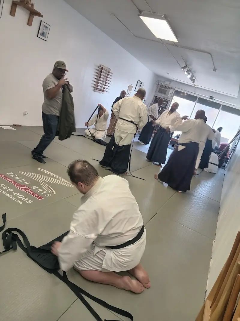 Asiatic Martial Arts BJJ Academy - photo 1