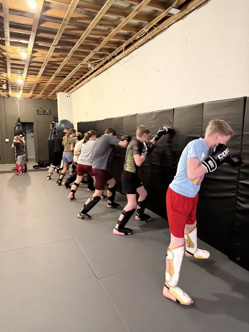 Asset Jiu Jitsu & Self Defense BJJ Academy - photo 2