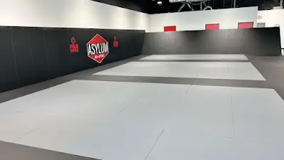 Asylum Jiu-Jitsu BJJ Academy - photo 1