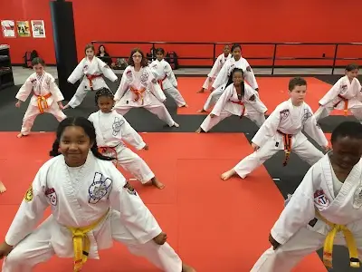 ATA Action Martial Arts BJJ Academy - photo 2