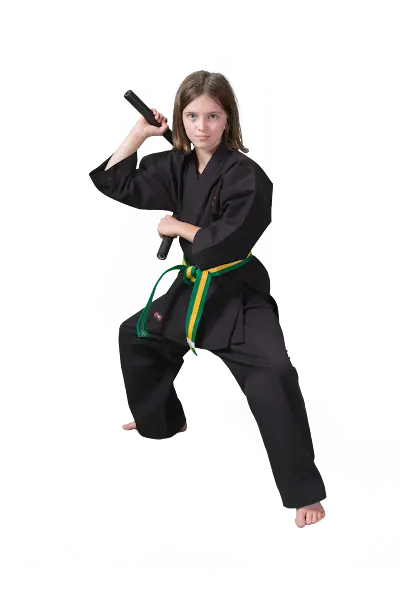 ATA Action Martial Arts BJJ Academy - photo 4