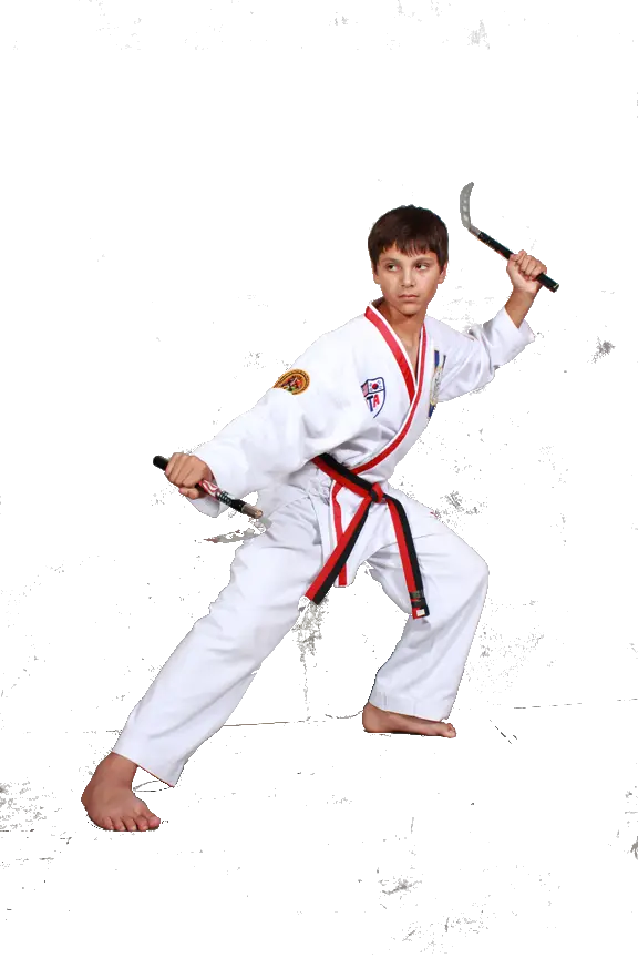 ATA Integrity Martial Arts BJJ Academy - photo 2