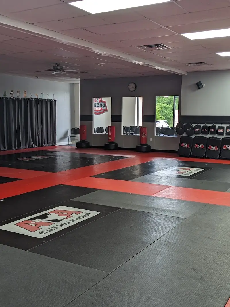 ATA Martial Arts BJJ Academy - photo 1