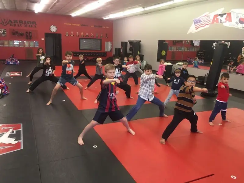 ATA Martial Arts Jonesboro BJJ Academy - photo 2