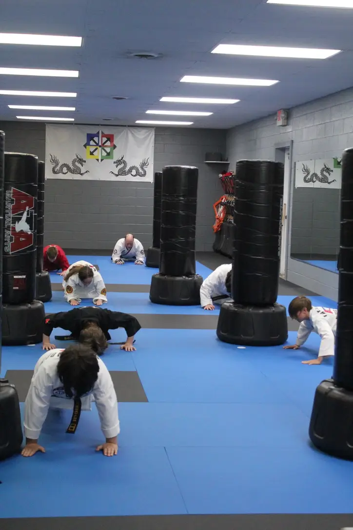 ATA Martial Arts of Grand Traverse BJJ Academy - photo 1