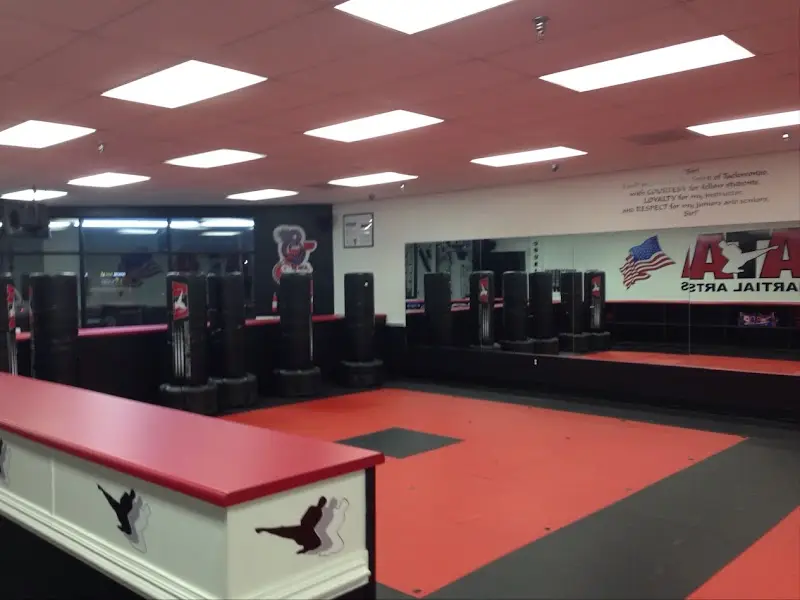 ATA Martial Arts of Greenville BJJ Academy - photo 1