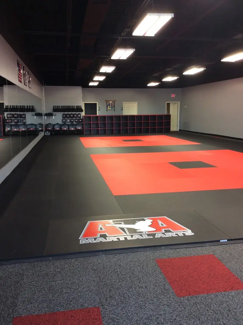 ATA Martial Arts - O'Fallon (K & N) BJJ Academy - photo 2