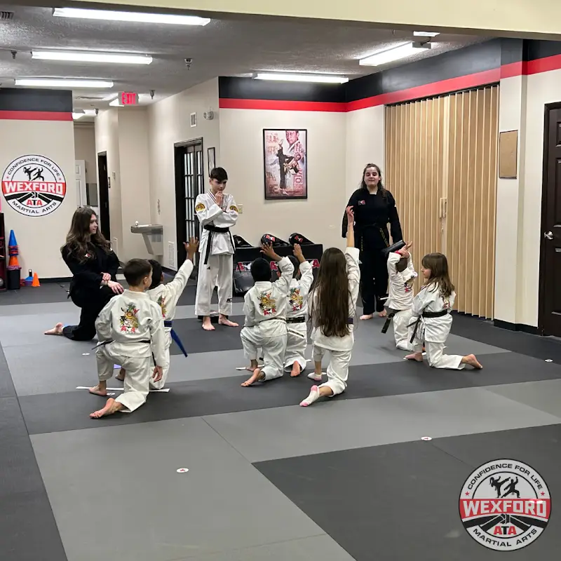 ATA Martial Arts Wexford