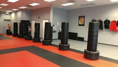 ATA Martial Arts BJJ Academy - photo 1