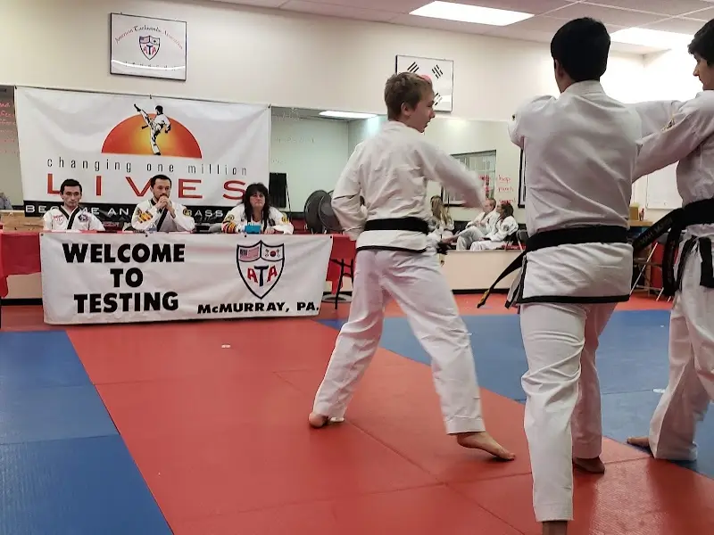 ATA McMurray Martial Arts Academy BJJ Academy - photo 1