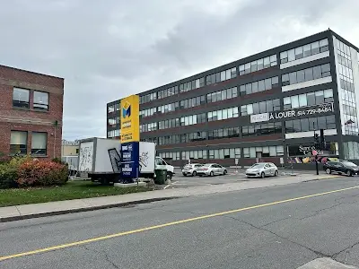 Atelier Afrobraz -Capoeira/Brazilian Jiujitsu BJJ Academy - photo 2