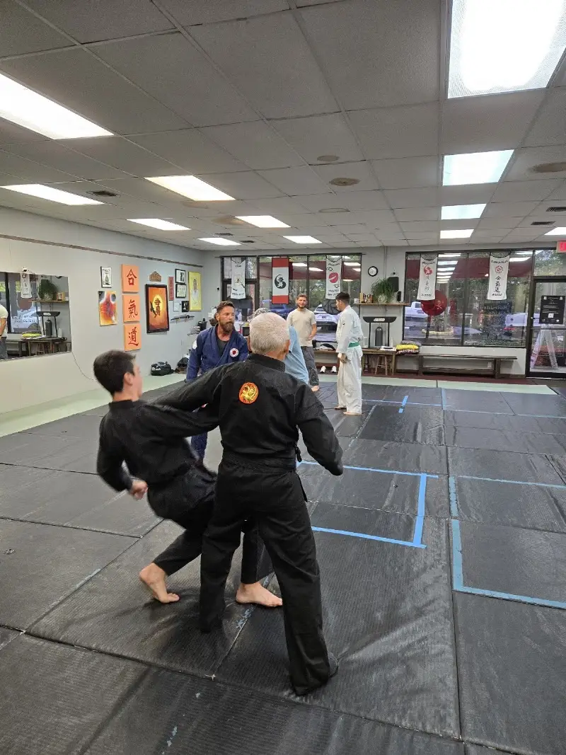 Atemi Ryu Ju-Jitsu BJJ Academy - photo 2