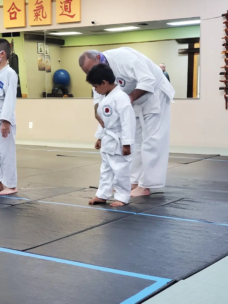 Atemi Ryu Ju-Jitsu BJJ Academy - photo 1