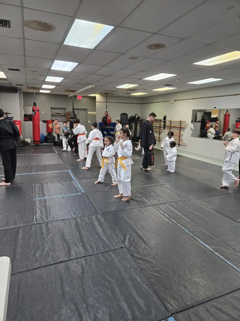 Atemi Ryu Ju-Jitsu BJJ Academy - photo 1