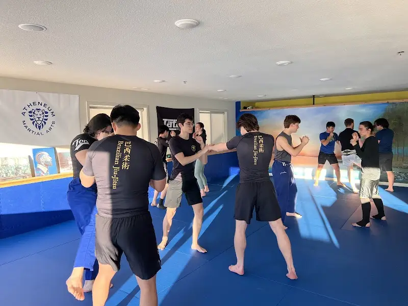 Atheneum Martial Arts BJJ Academy - photo 1