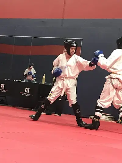 ATI Martial Arts, Midland/Midvale BJJ Academy - photo 2