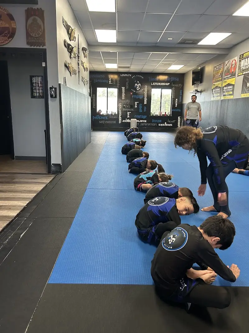 Atlantis Jiu-Jitsu BJJ Academy - photo 2