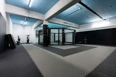 Atlas Gym Heilbronn BJJ Academy - photo 4